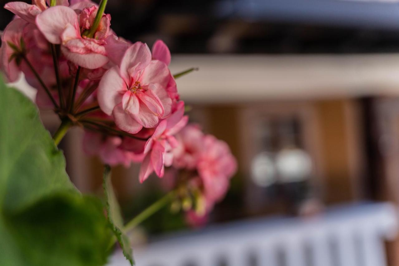 Hotel Casa Graciela Boutique Pátzcuaro